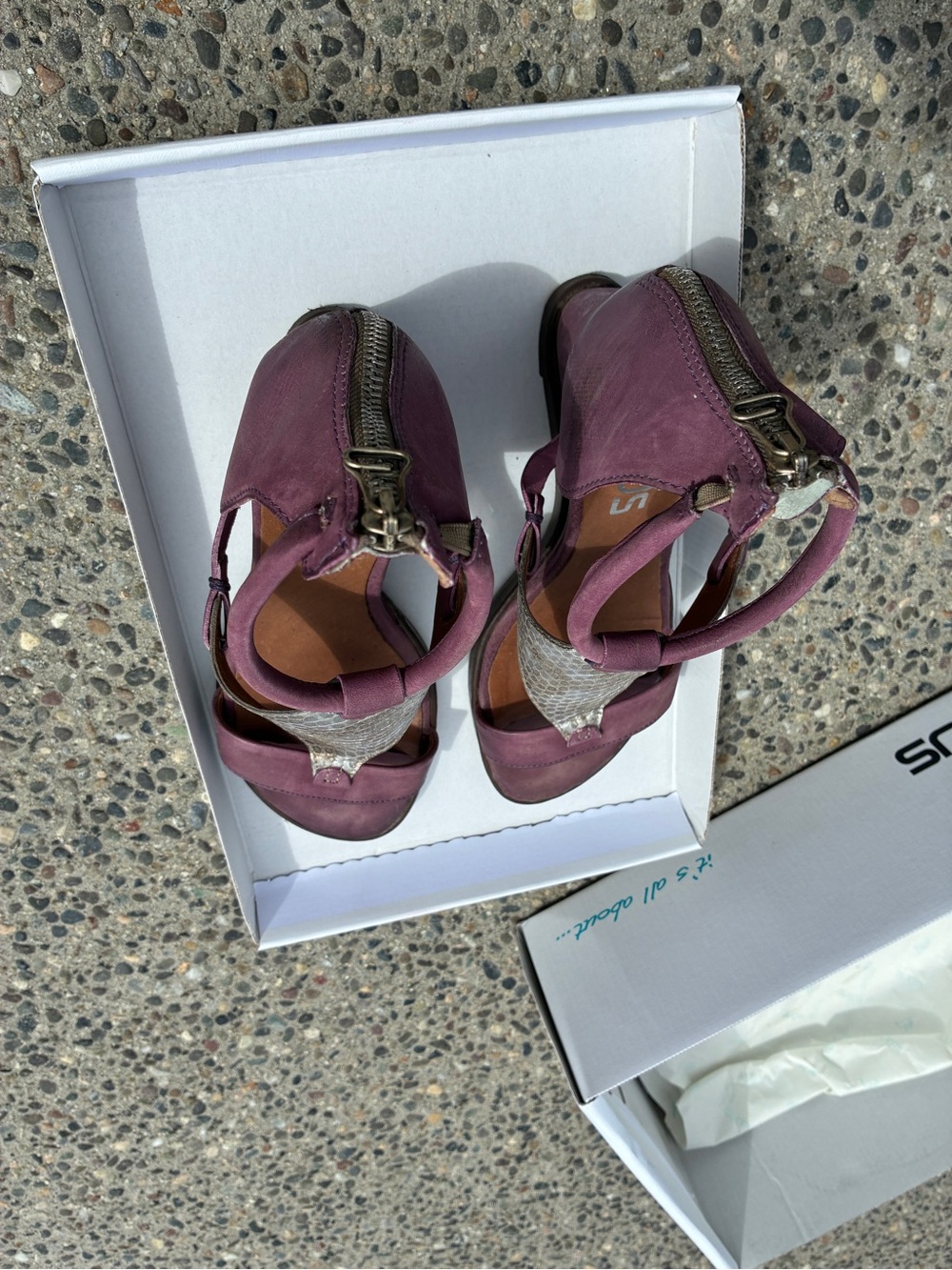 MJUS - Plum Leather Sandals with Snake-Print T Panel - Picture 2 of 7